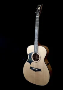 The Convict 006 LH left-handed acoustic guitar